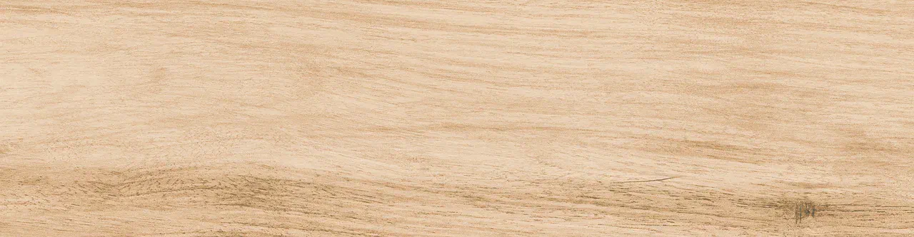 Керамогранит 0045 NATALINA 60х15х08