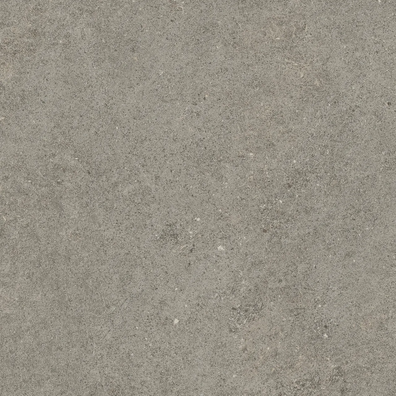 Керамогранит 610010005836 Forte dei Marmi Rock Lunar Grey Lastra 20mm 60x60