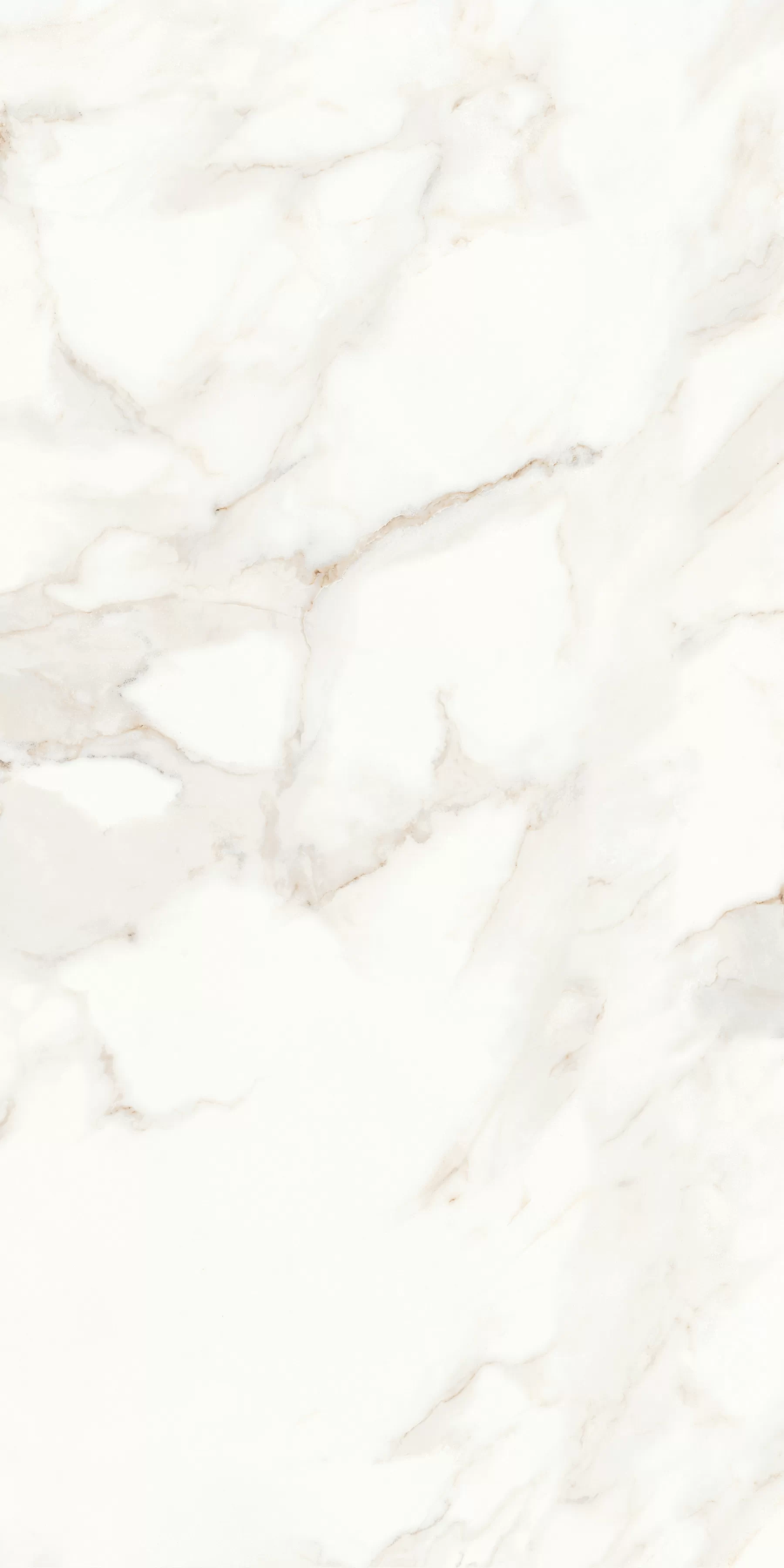 Керамогранит MPL-058622 Calacatta Satin 60x120