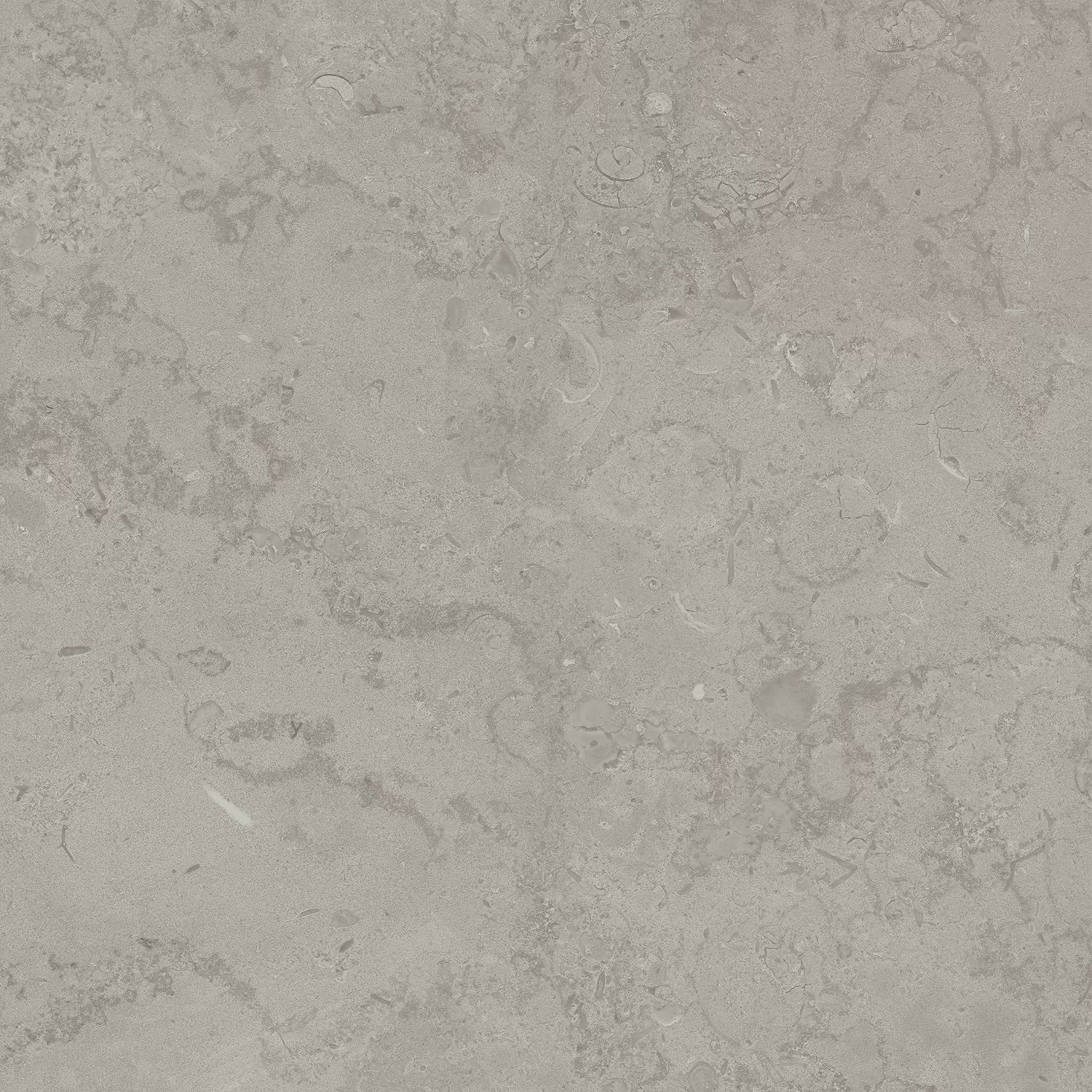 Керамогранит DD640900R Про Лаймстоун серый натуральный обрезной R10 60х60