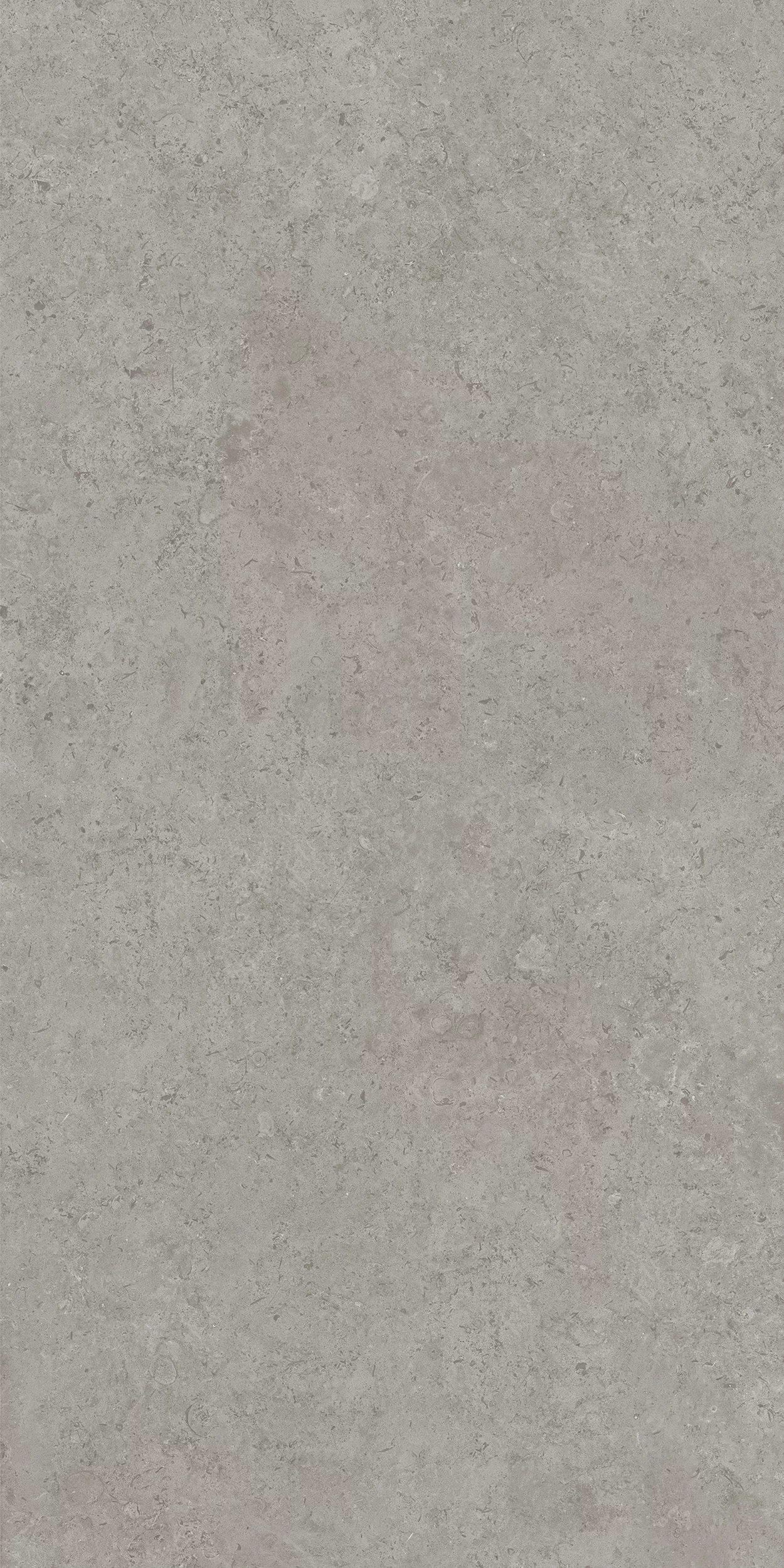 Керамогранит DD590600R Про Лаймстоун АТ серый натуральный обрезной R10 119,5х238,5