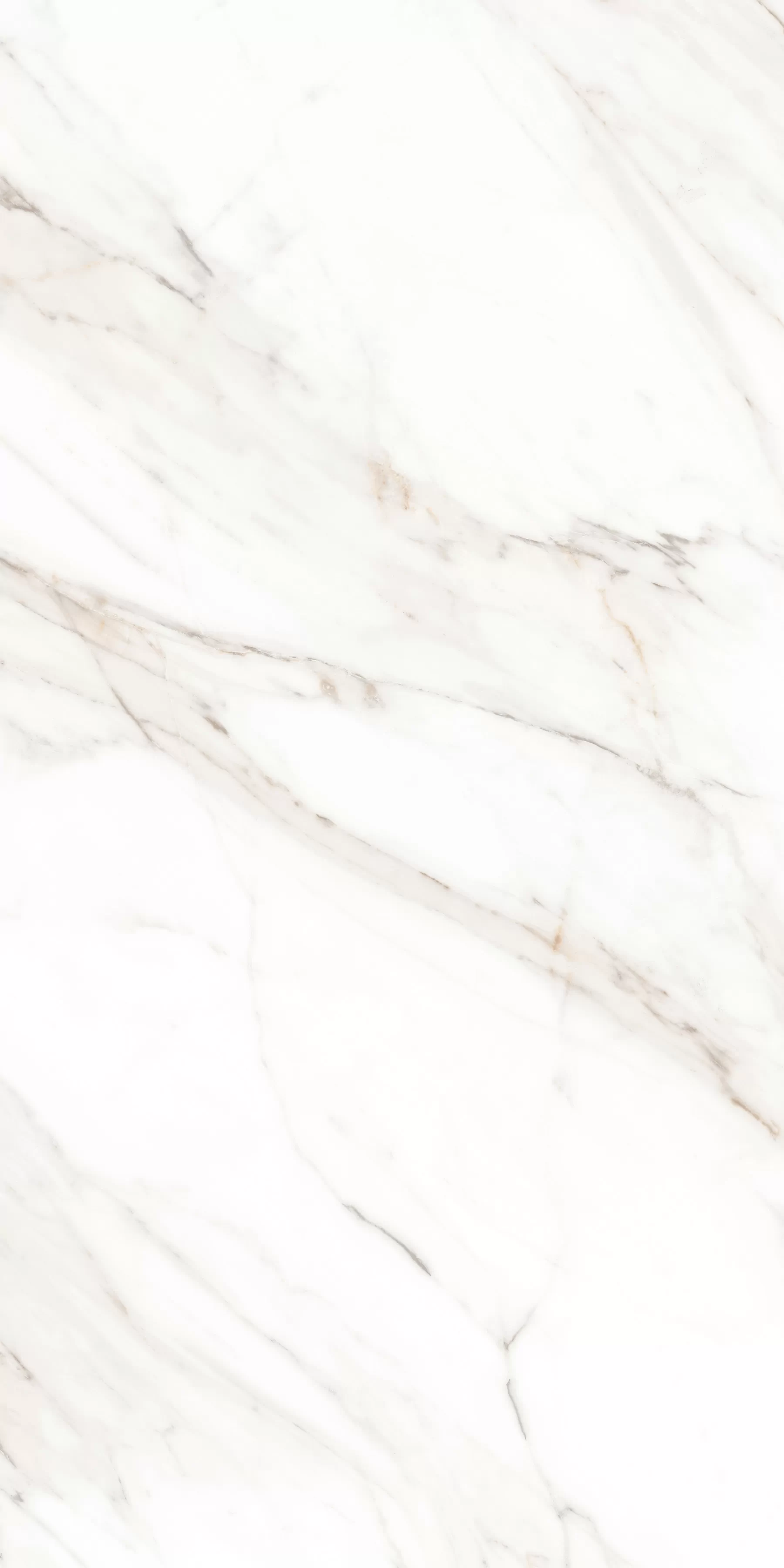 Керамогранит MPL-058630 Calacatta Gold Satin 60x120