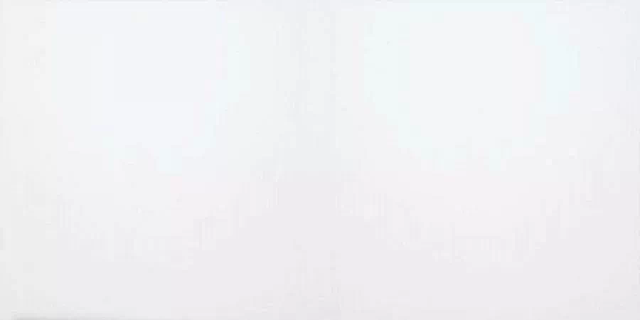 Керамогранит White Glossy 60x120