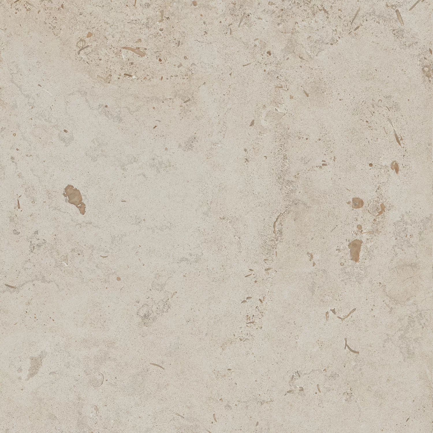 Керамогранит DD641220R Про Лаймстоун бежевый натуральный обрезной 60х60