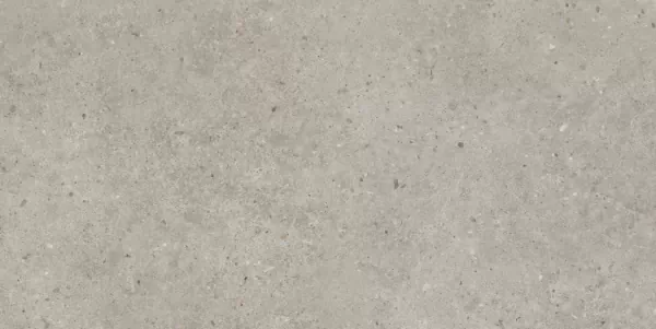Керамогранит SG519920R Риккарди серый светлый матовый обрезной 60х119,5