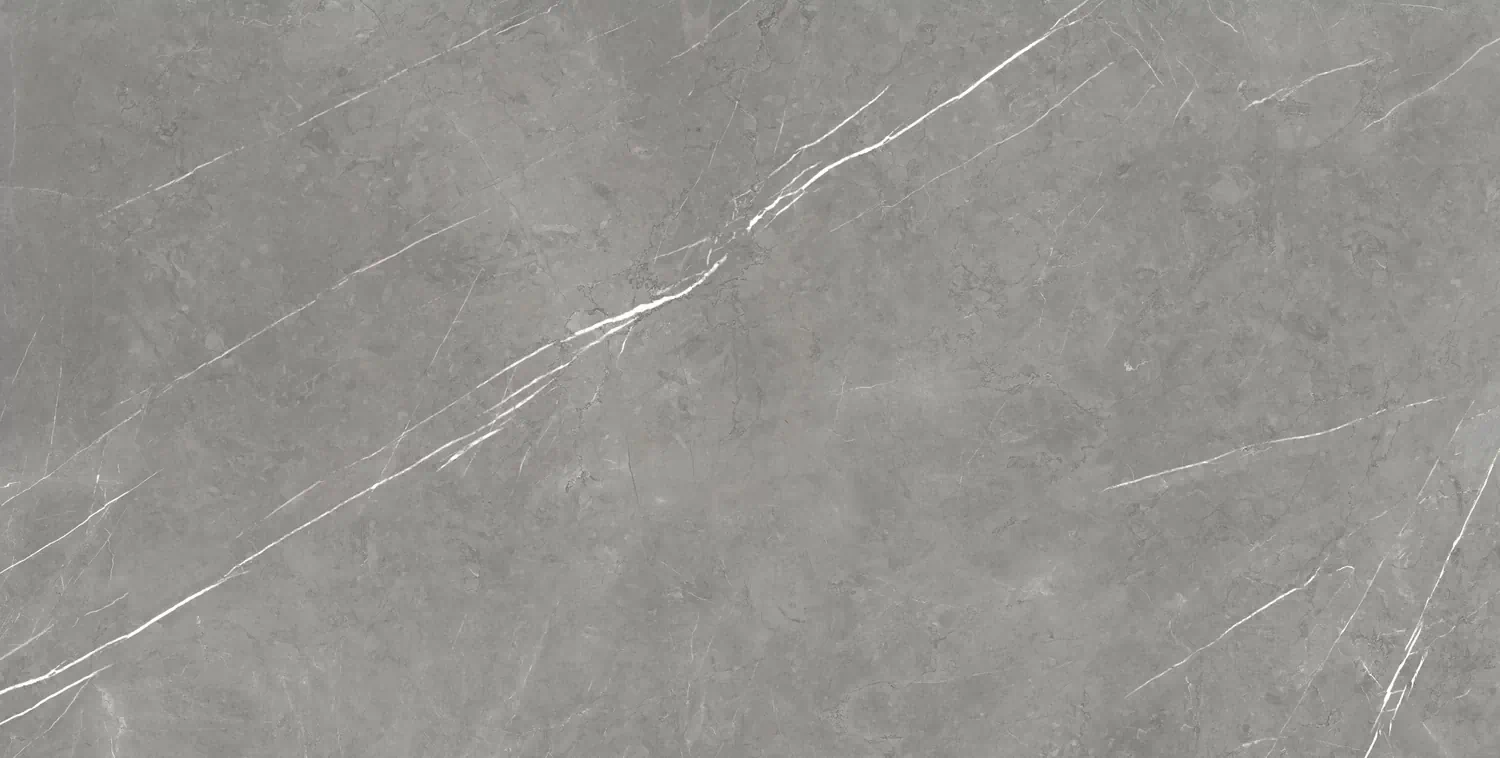 Керамогранит 610010002710 Forte dei Marmi Elegant Grey Rett 80x160