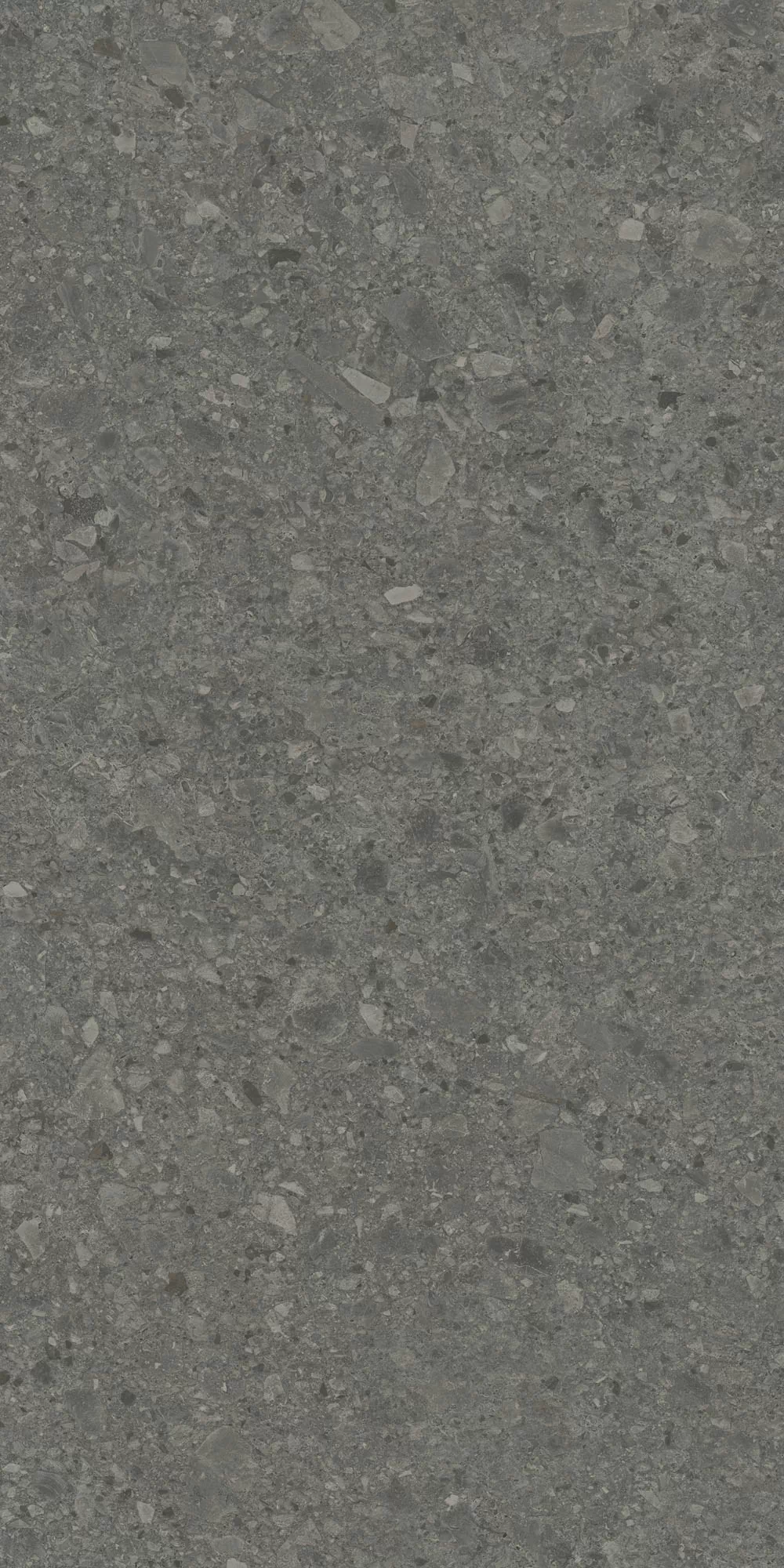 Керамогранит DD591620R Чеппо ди Гре антрацит матовый обрезной 119,5x238,5x0,9