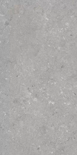 Керамогранит 005485 Shellstone Grigio 60x120