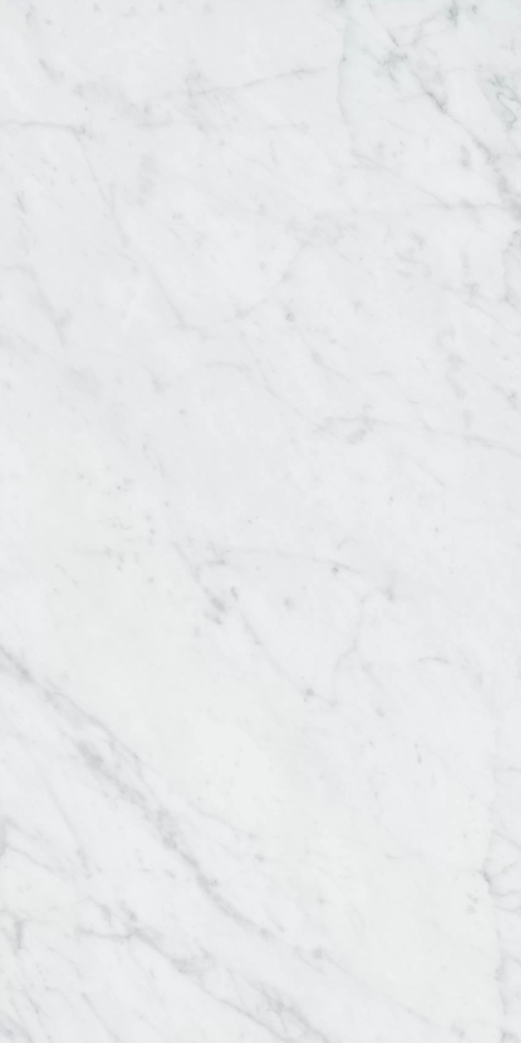 Керамогранит 4101065 Italic Carrara 60x120