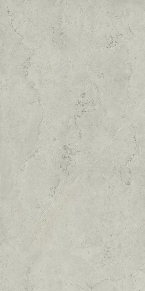 Керамогранит 610010002343 Metropolis Absolut Silver Nat Rett 80x160