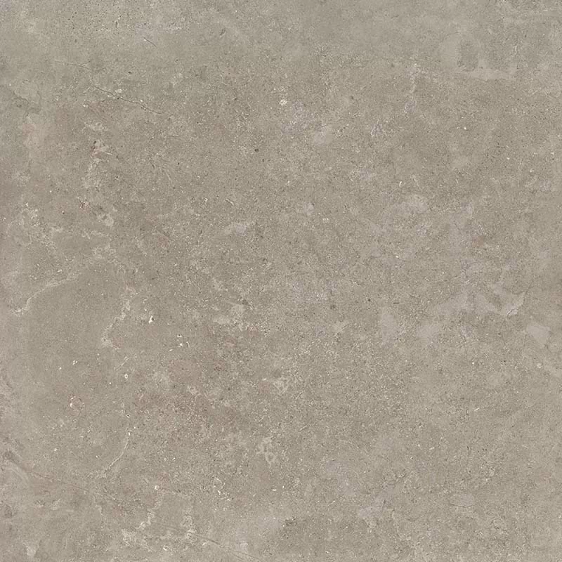 Керамогранит 8163 Shell DG 60х60