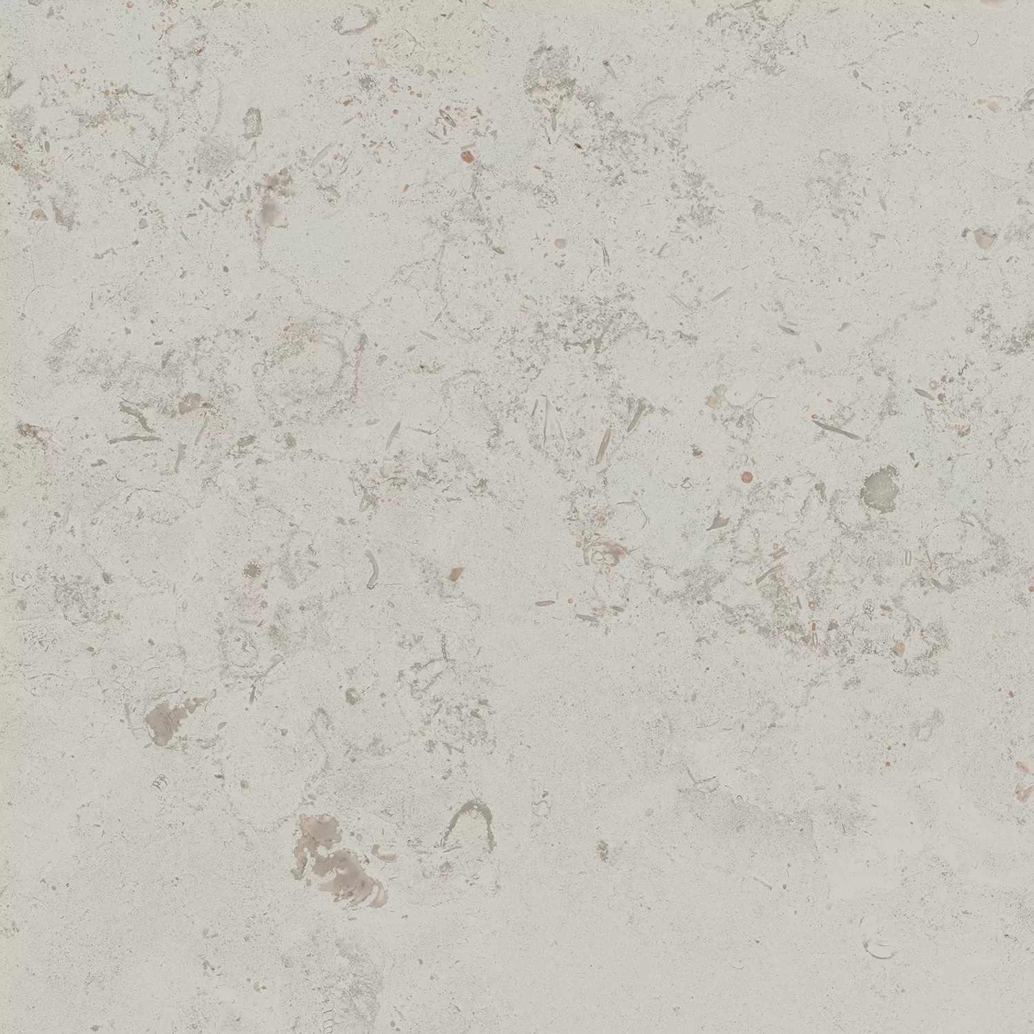 Керамогранит DD641000R Про Лаймстоун серый светлый натуральный обрезной R10 60х60