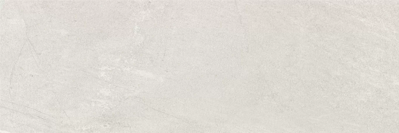 Плитка Nature Ash Rеct 40x120