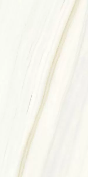 Керамогранит PL612480 Bianco Covelano Lucidato 60x120