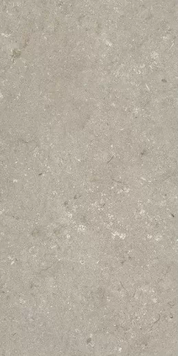 Керамогранит 005468 Shellstone Taupe 60x120