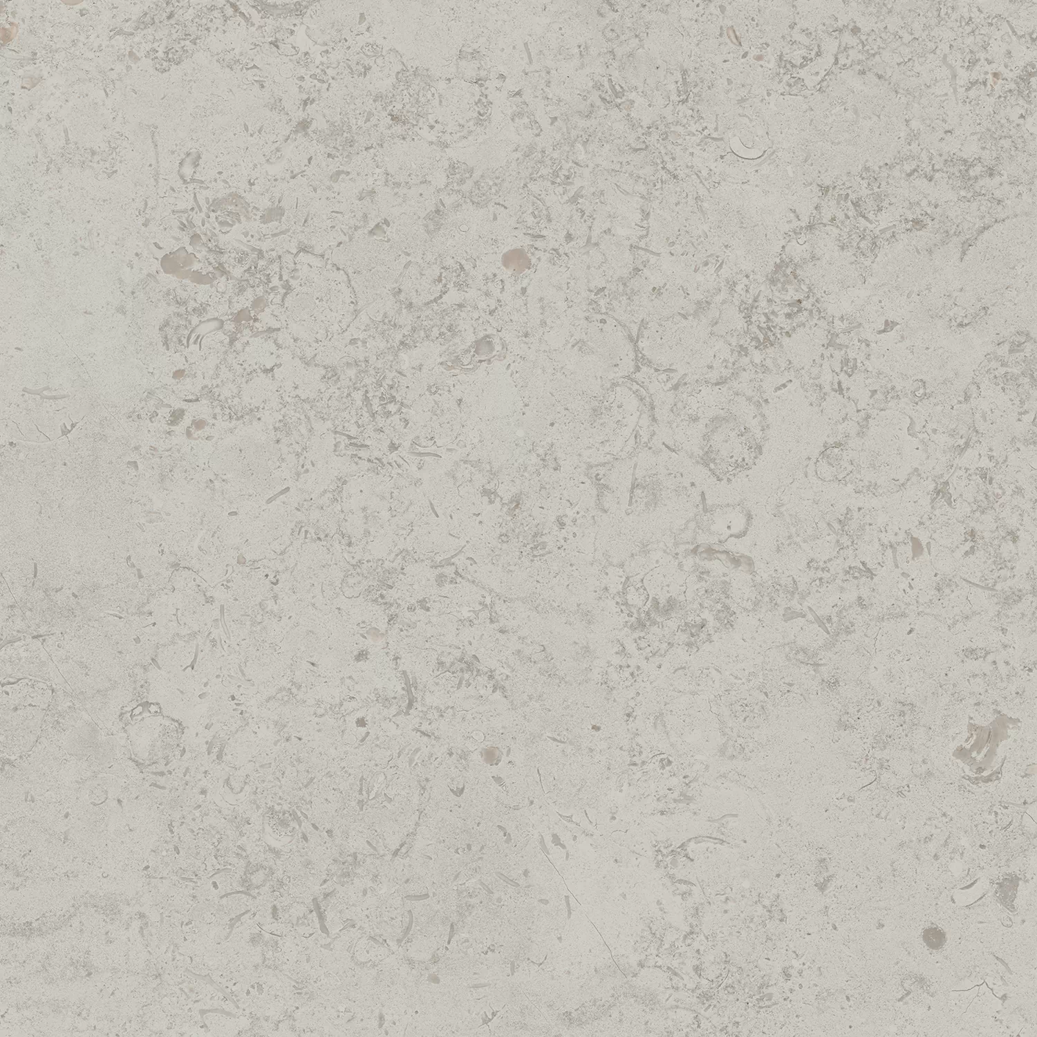 Керамогранит DD641000R Про Лаймстоун серый светлый натуральный обрезной R10 60х60