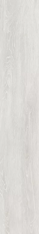 Керамогранит FR03 Forest Cloud неполированный 19,4х120