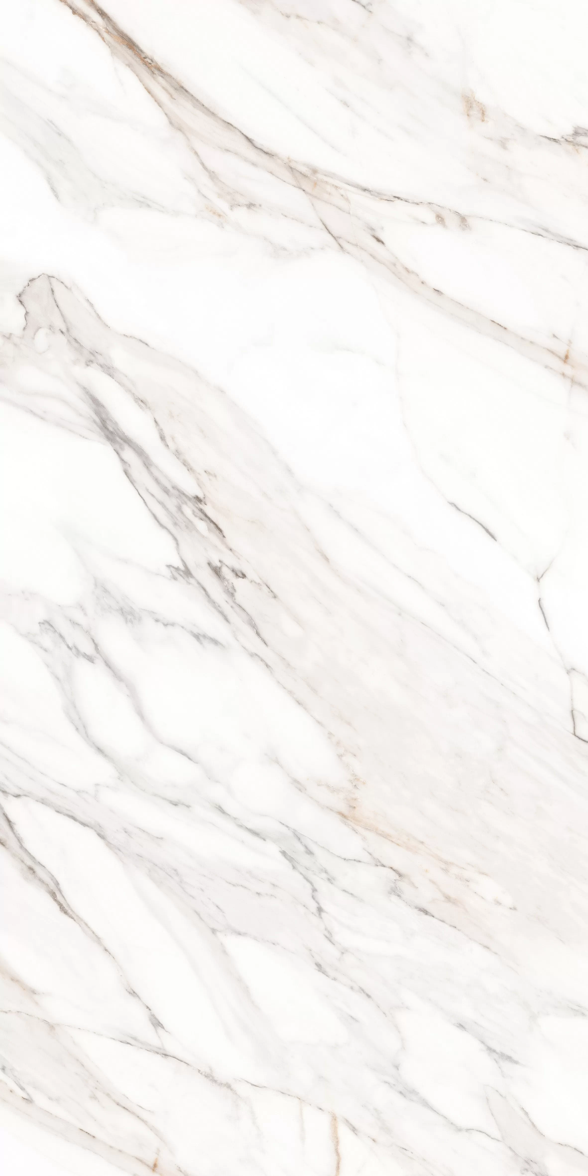 Керамогранит MPL-058640 Calacatta Gold Polished 80x160