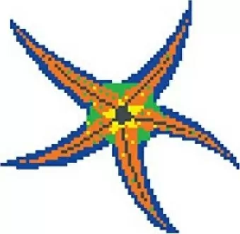 Мозаика SD-117 Porcelain Mosaic Design Starfish 1 5x5 (420x390)