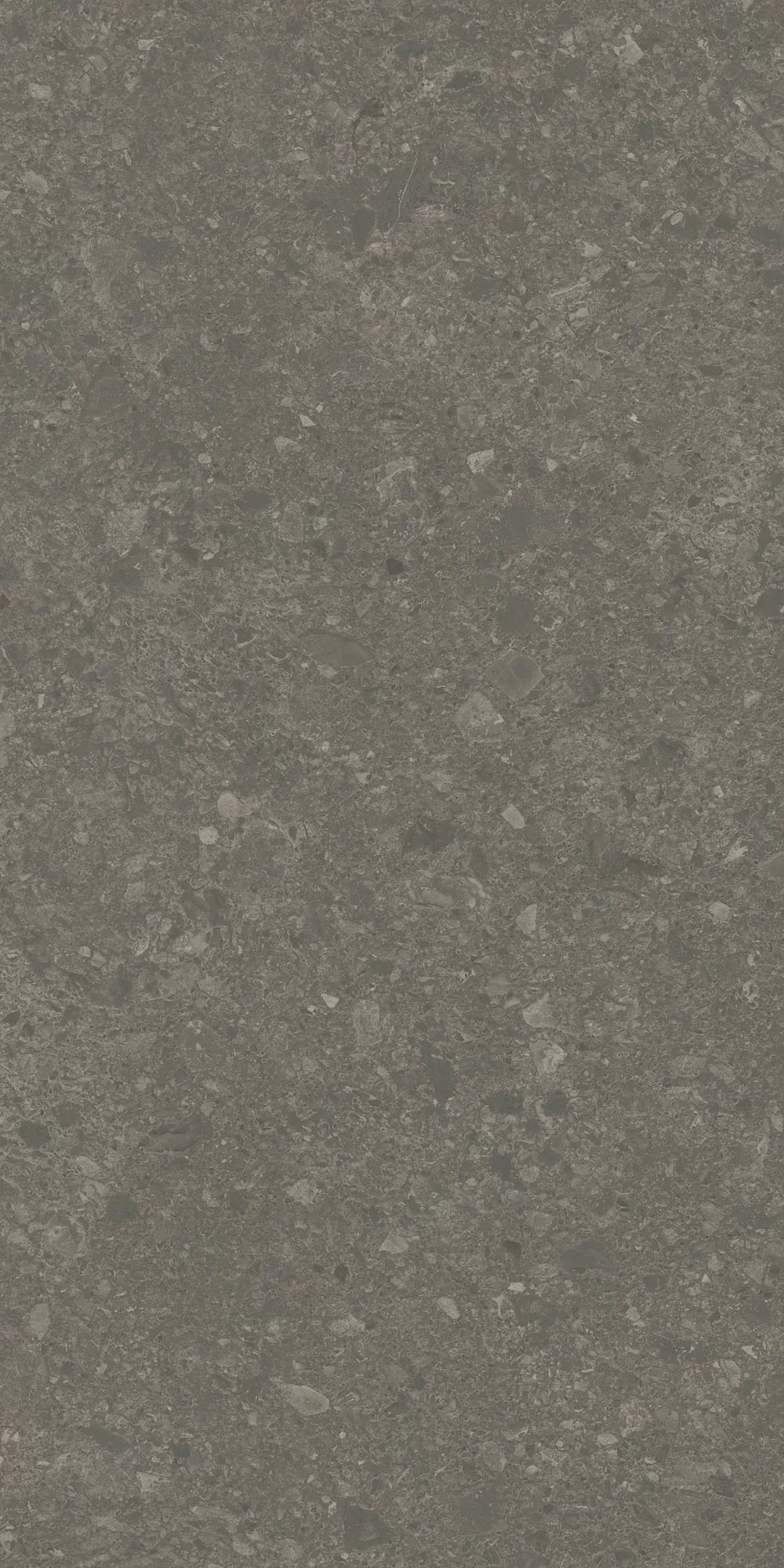 Керамогранит DD591700R Чеппо ди Гре коричневый матовый обрезной 119,5x238,5x1,1