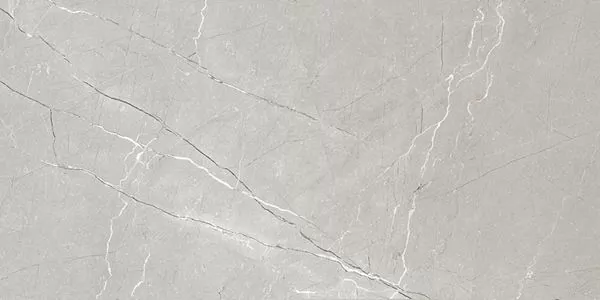 Керамогранит Larice Grey 60x120