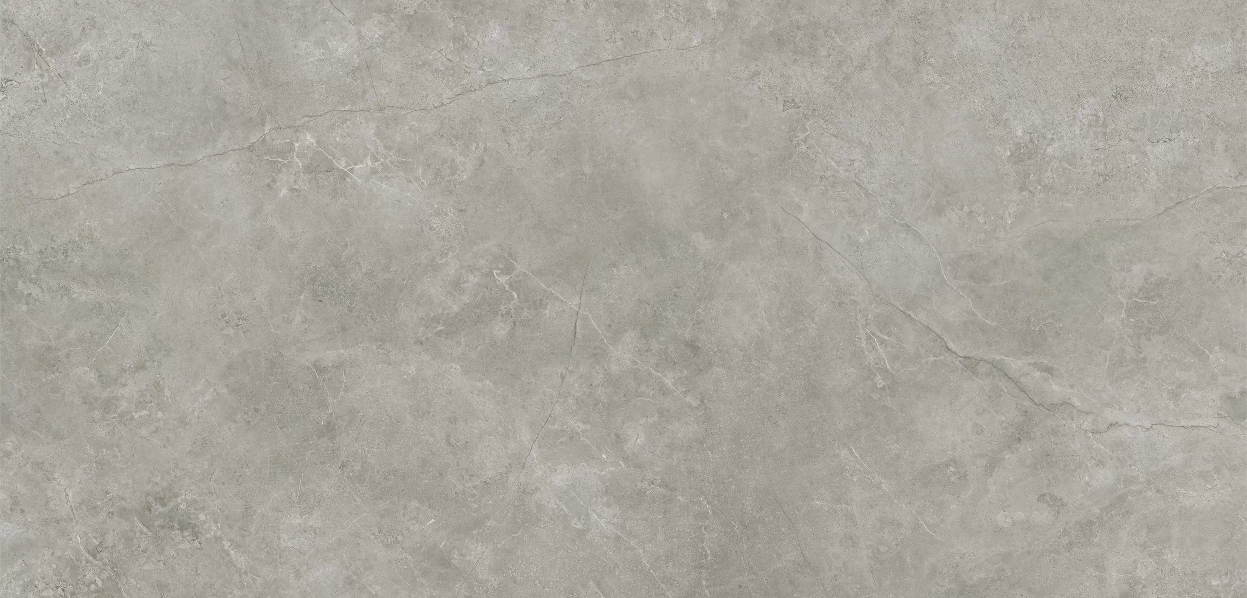 Керамогранит C229803091 Xlight Premium Fiori Di Bosco Nature (6 мм) 120x250