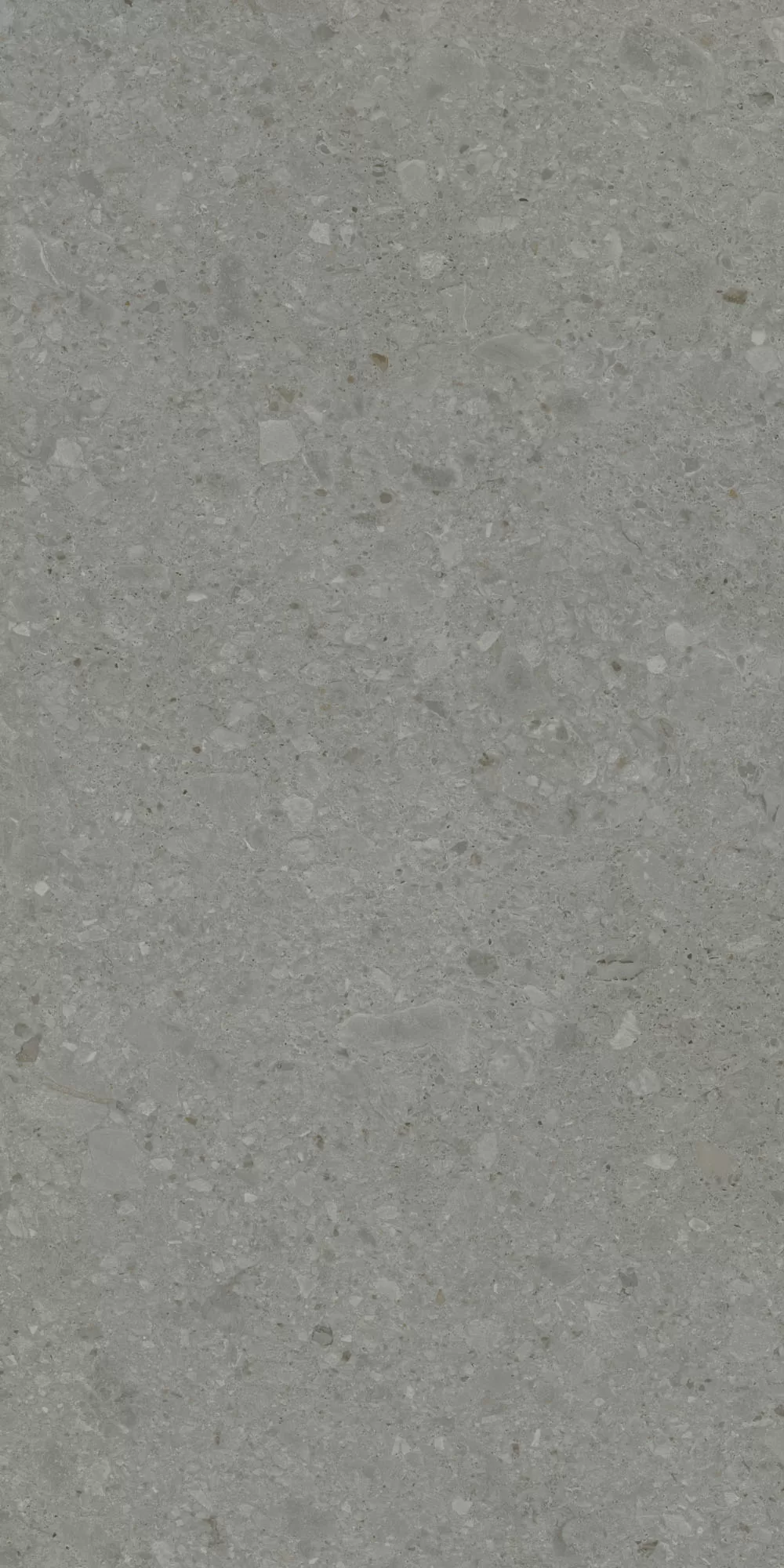 Керамогранит DD507920R Чеппо ди Гре серый тёмный матовый обрезной 60x119,5x0,9