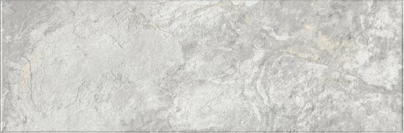 Плитка 616 Image Silver 32,5х100