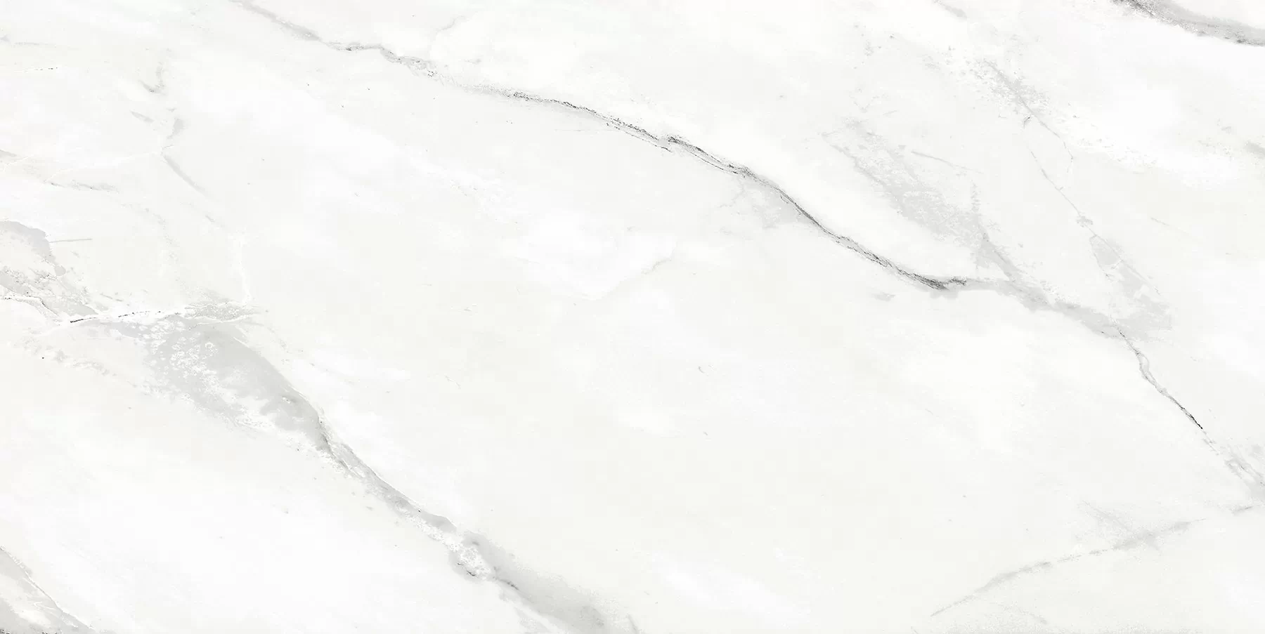 Керамогранит Bianco Avаrio PGVT 60x120