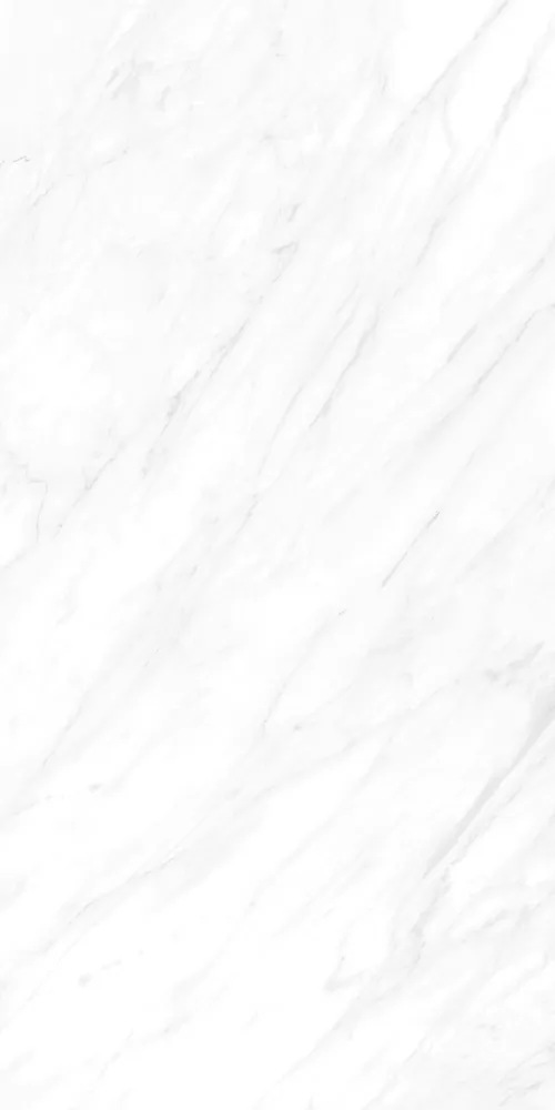 Керамогранит BHW-0022 Carrara Matt Grains Soft-Polished Mould 600x1200x10