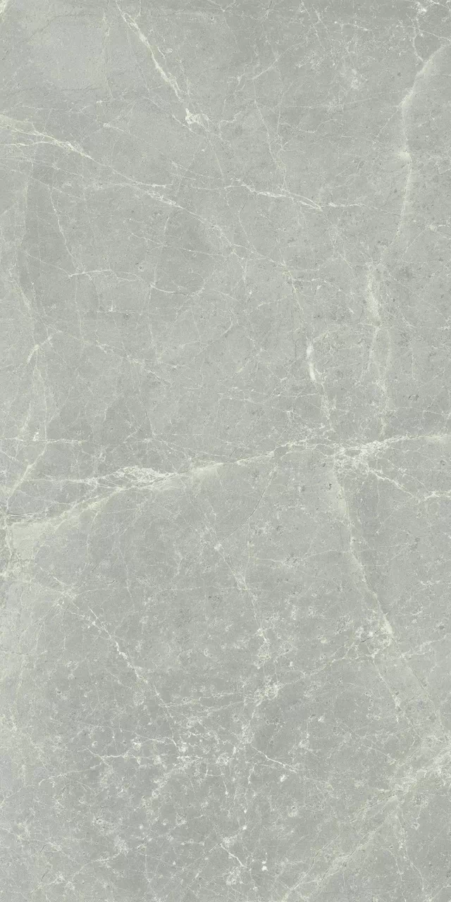 Керамогранит 760038 Exalt Silver Light Nat Ret 60x120