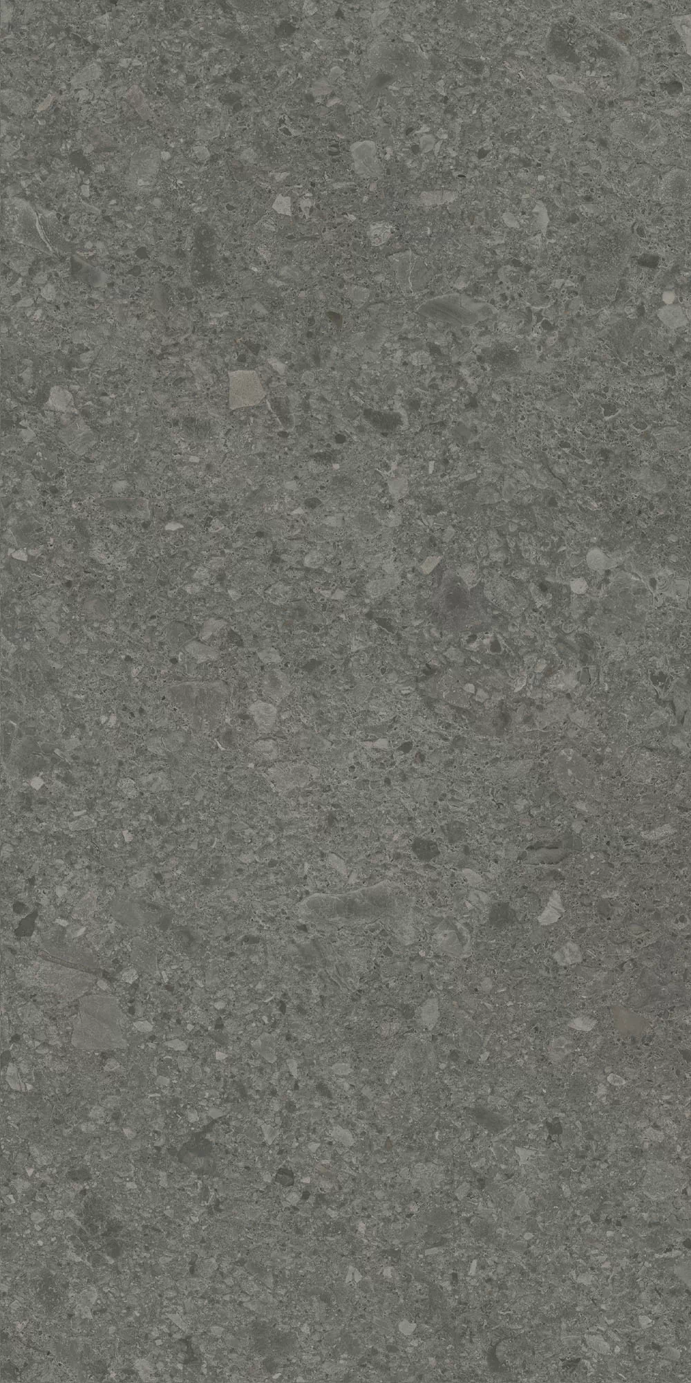 Керамогранит DD591620R Чеппо ди Гре антрацит матовый обрезной 119,5x238,5x0,9