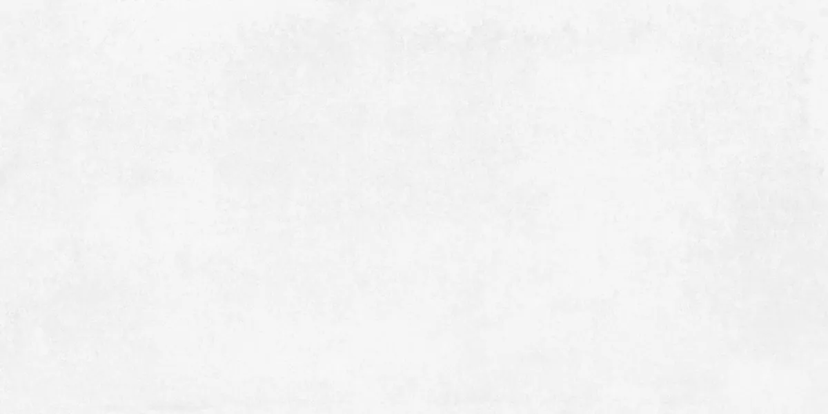 Керамогранит Betonica Blanco PRO светло-серый матовый R10Soft 60х120