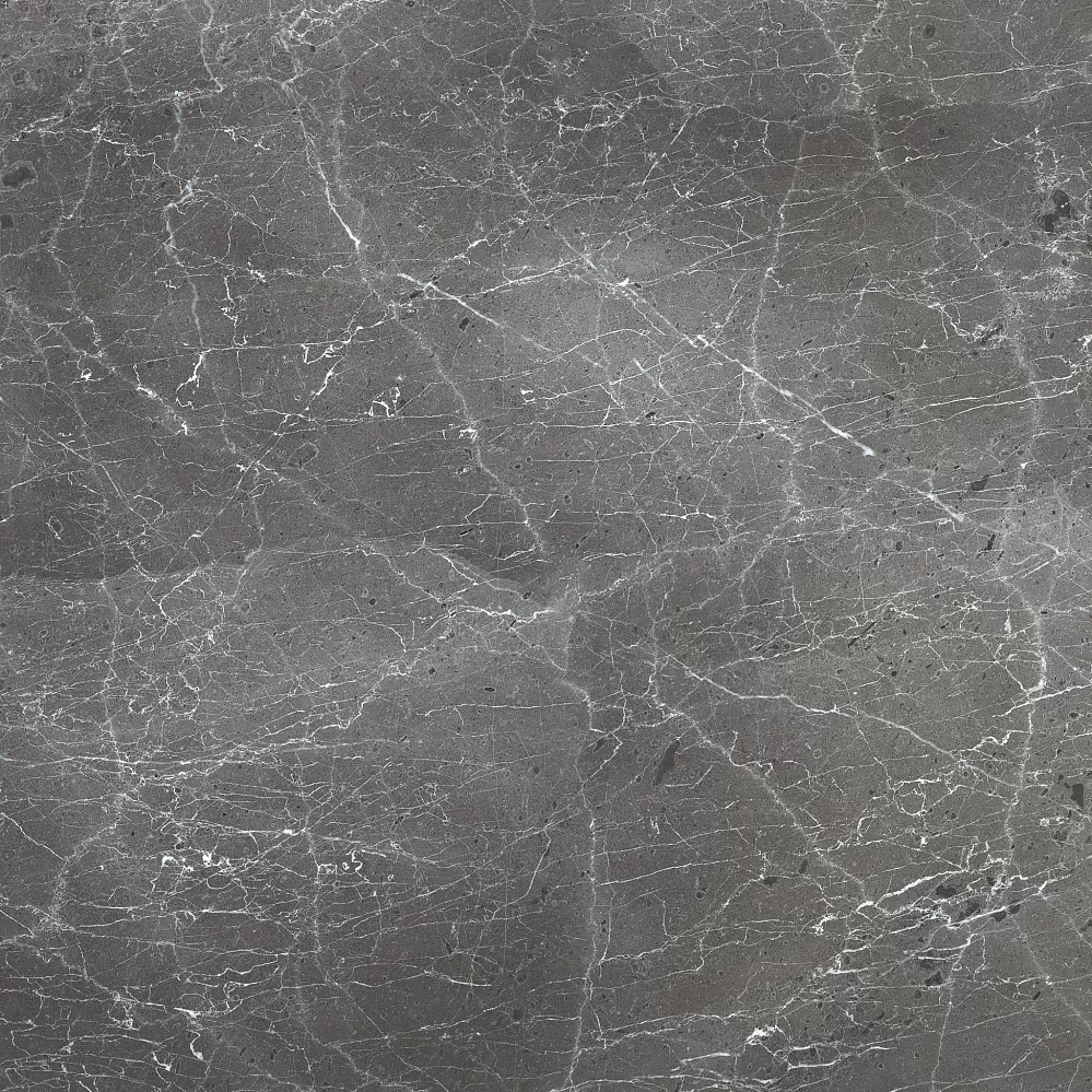 Керамогранит PR108 Ardesia Grafito Polished 600x600