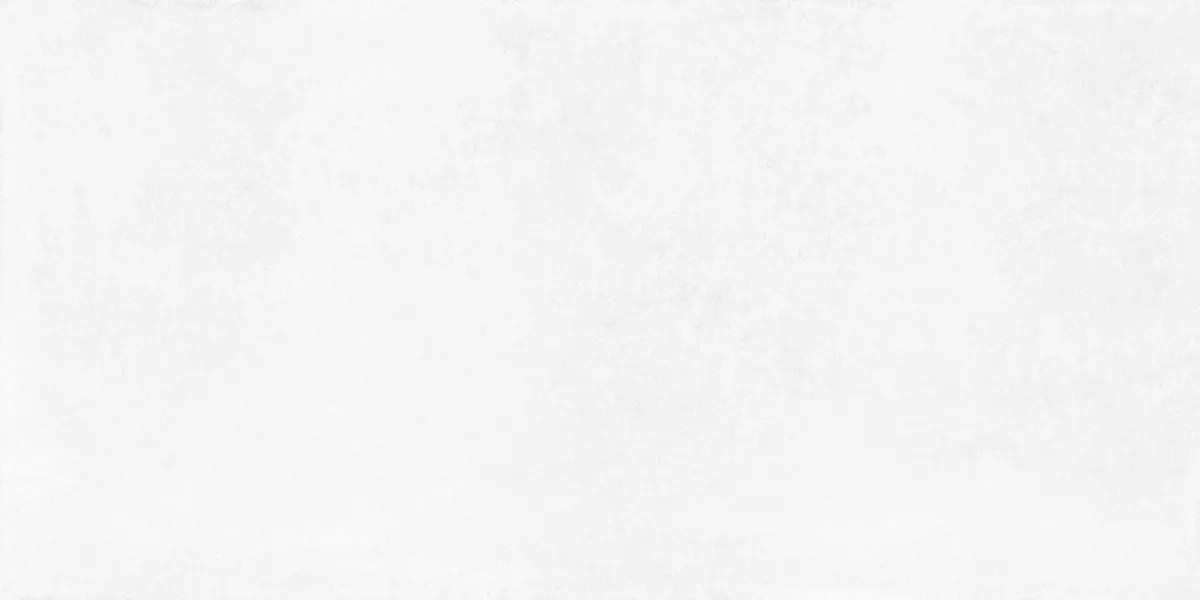 Керамогранит Betonica Blanco PRO светло-серый матовый R10Soft 60х120