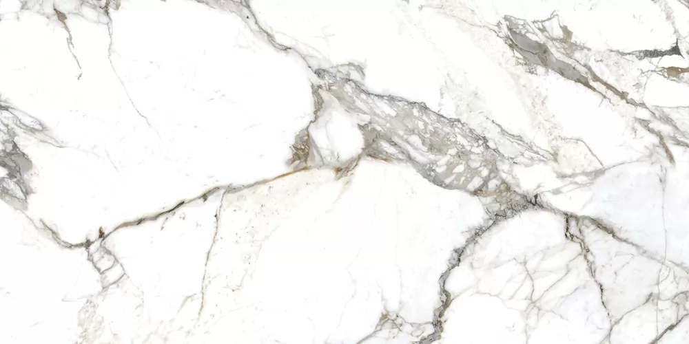 Керамогранит 17431 Silvia полированный белый ректификат 60x120