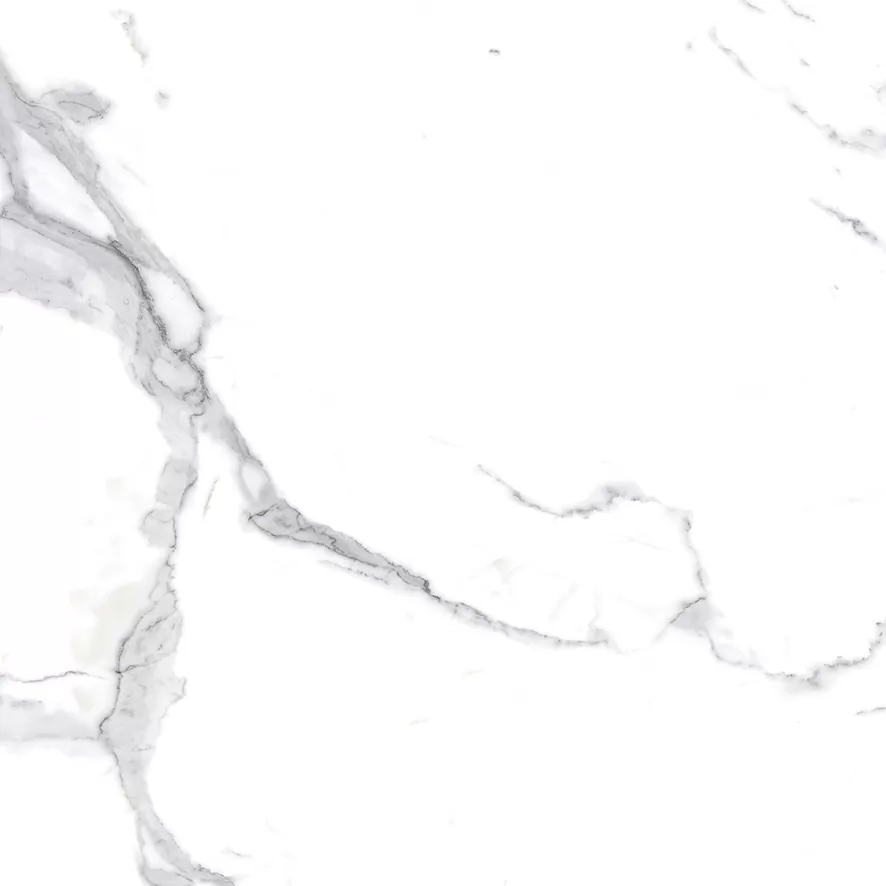 Керамогранит Calacatta Splendid Silver Белый Матовый 60х60