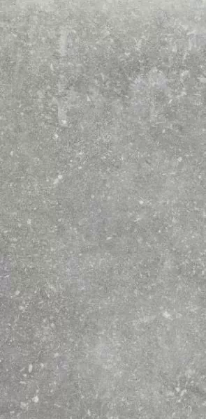 Керамогранит 1076235 Ardenne Grigio 20x40