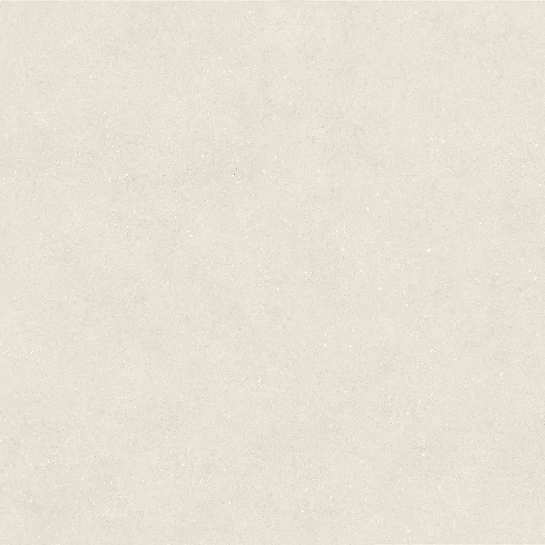 Керамогранит 100348029 Terra Bone 120x120