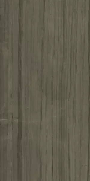 Керамогранит 610010002163 Шарм Эдванс Элегант Браун Рет 80x160