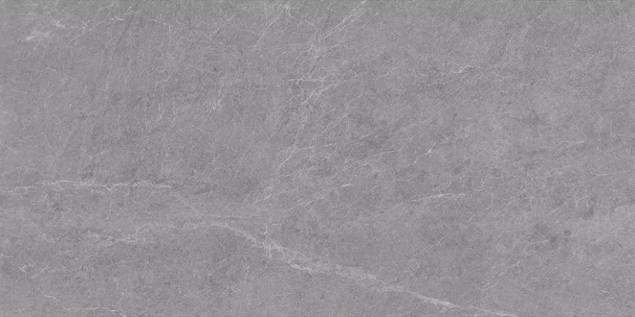 Керамогранит Alpine Gris Matt 60x120