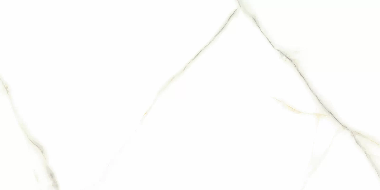 Керамогранит Venato Bianco PGVT 60x120