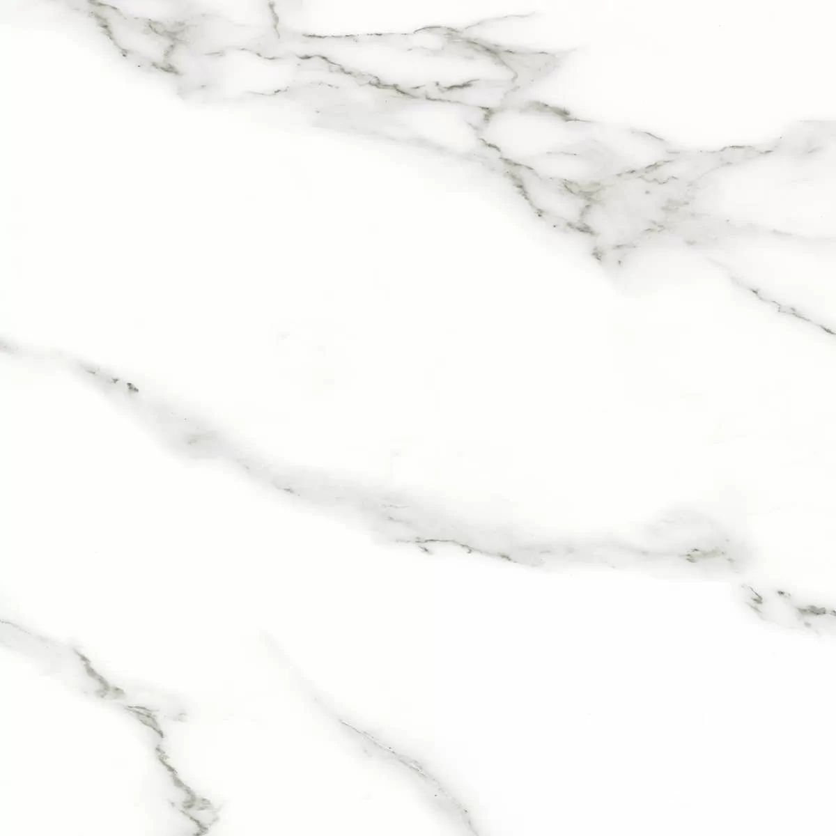 Керамогранит Statuario Eva 60 Satin 600x600