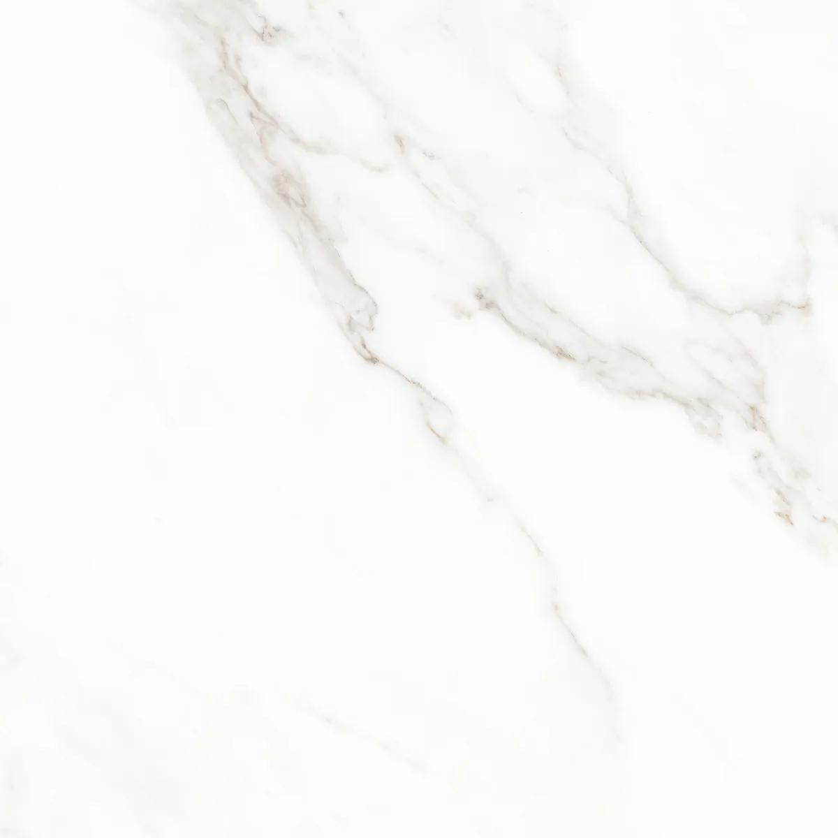 Керамогранит Calacatta Michael белый матовый 60х60