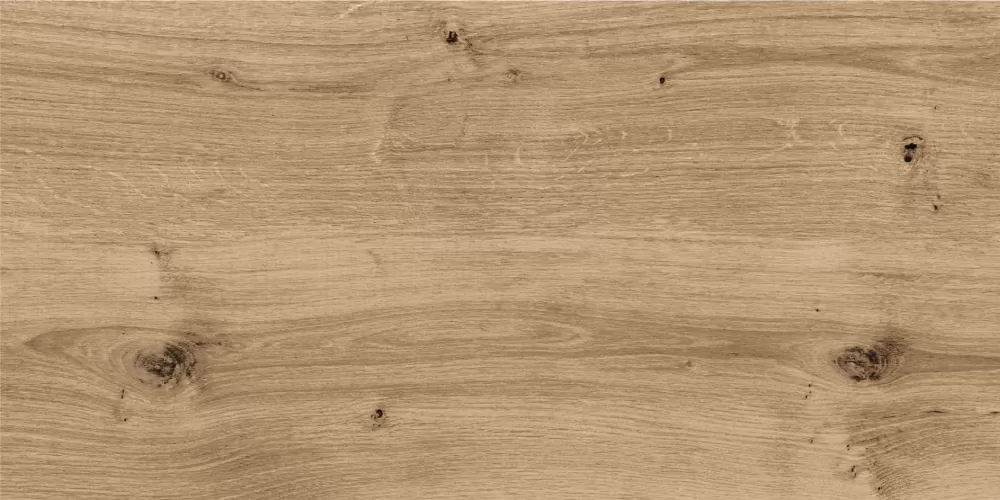 Керамогранит C-WS4O152D Woodhouse темно-бежевый 29,7х59,8