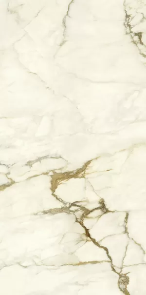 Керамогранит PK612575 Calacatta Macchia Vecchia Levigato Silk ret 60x120