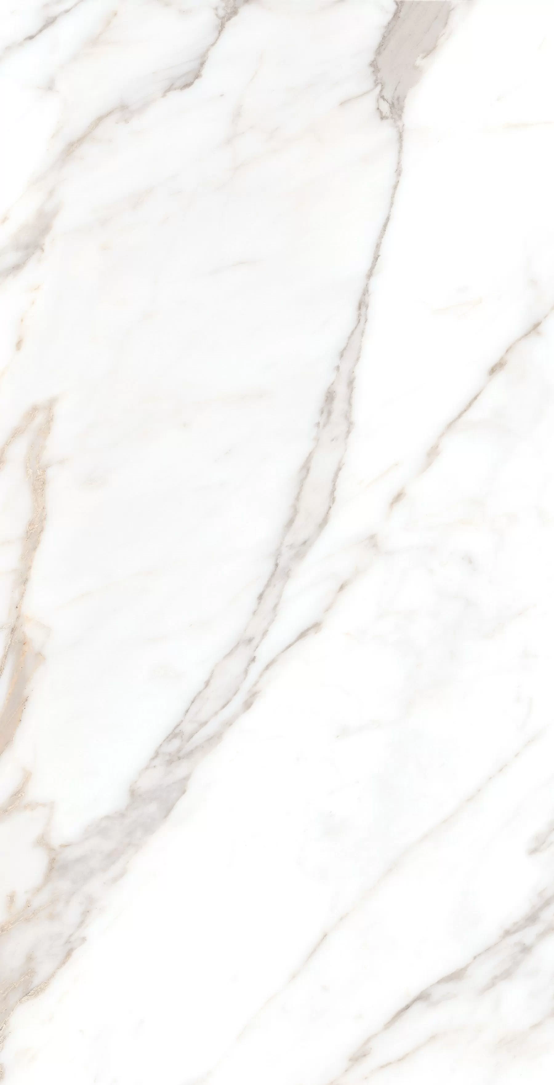 Керамогранит Calacatta Borghini Sugar 60х120