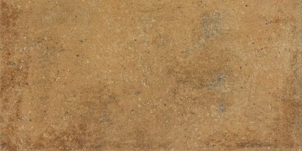 Керамогранит DARPT664 Siena brown R9 22,5x45