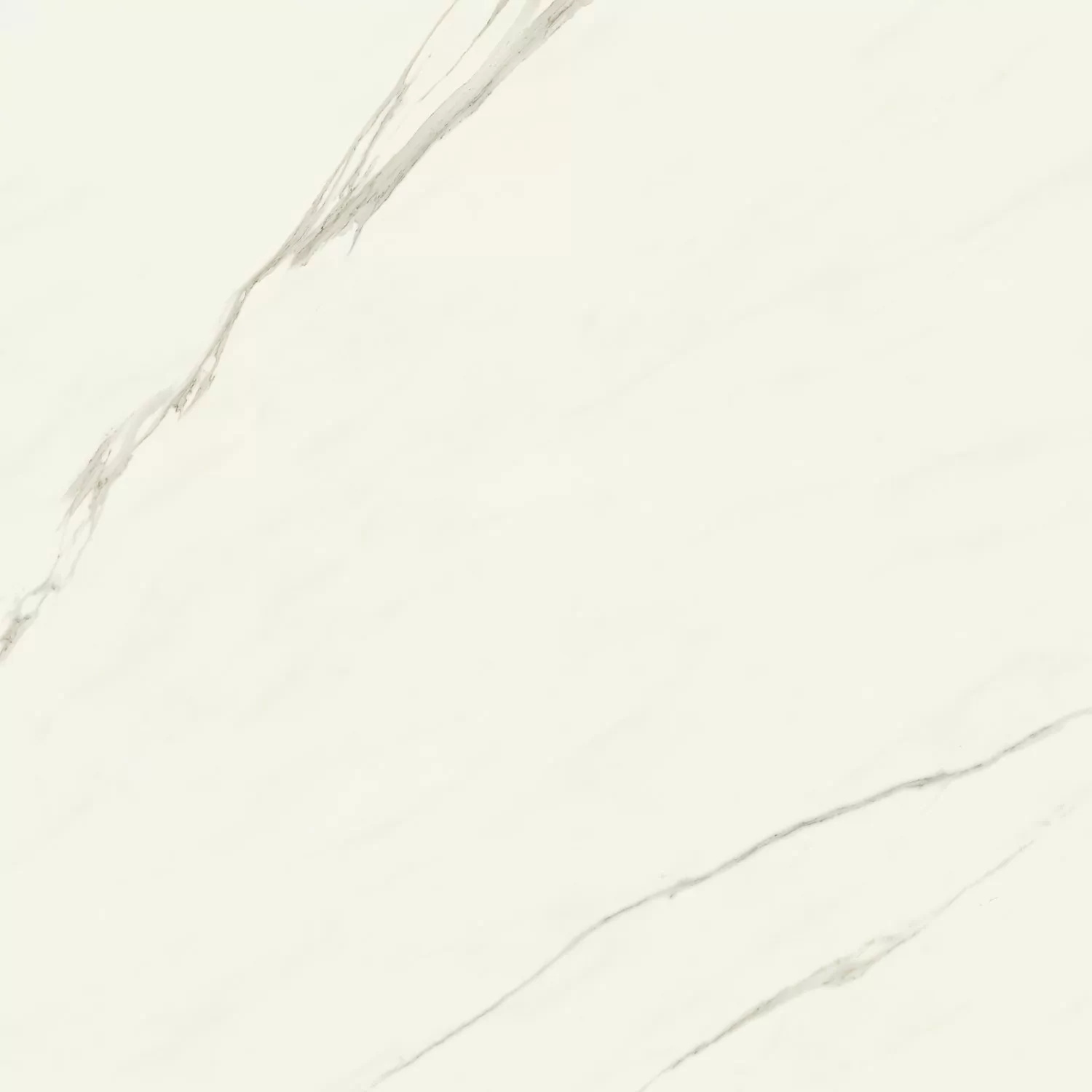 Керамогранит AJII Marvel Meraviglia Calacatta Meraviglia Velvet 120x120