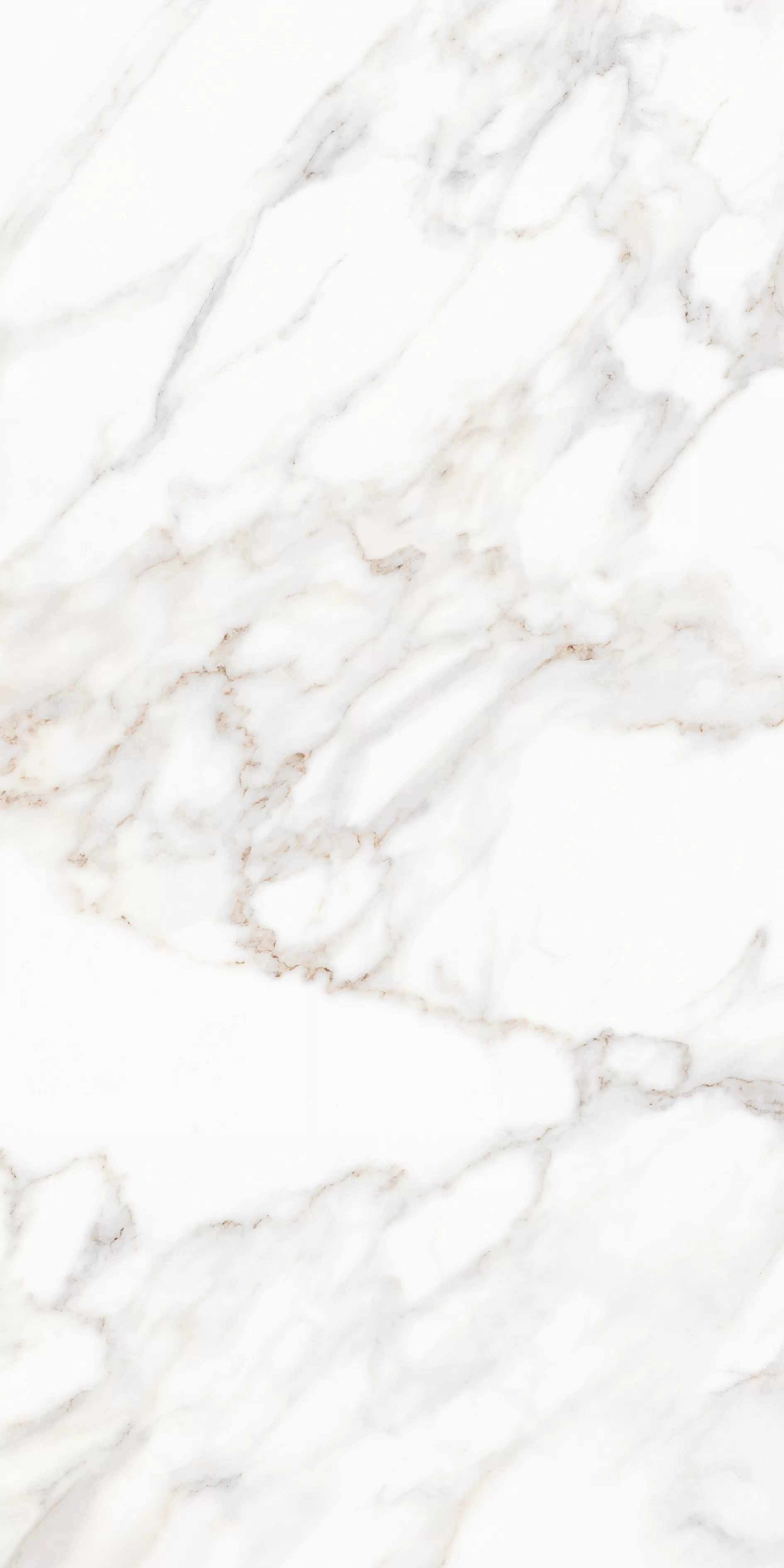 Керамогранит MPL-058632 Calacatta Satin 80x160